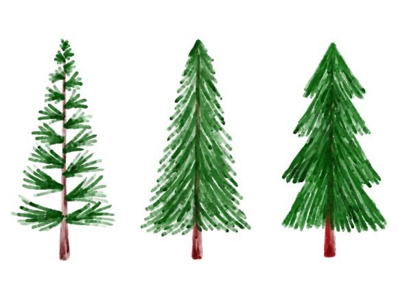 Christmas Watercolor Fir Tree Graphics and Illustrations